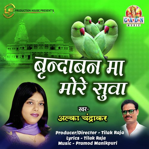 Brindaban Ma More Suwa Alka Chandrakar MP3 Download